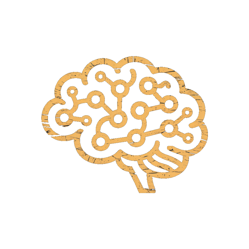 İleri Seviye Uzmanlık